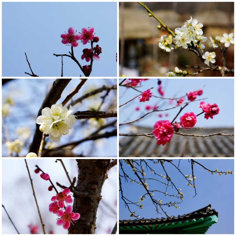 class="se-image-resource"