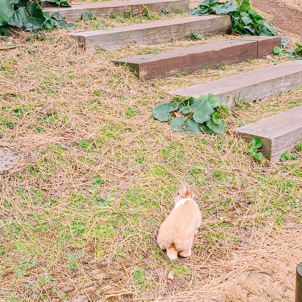 class="se-image-resource"