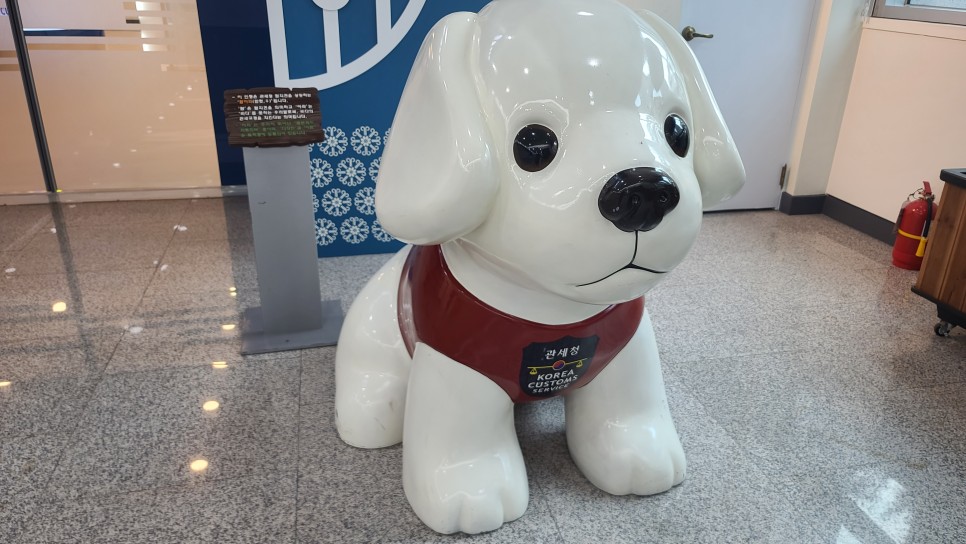 강남 가볼만한곳 서울 실내 아이들과 체험 국립관세박물관