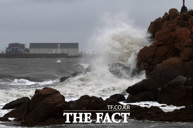 제14호 태풍 '난마돌'이 북상하면서 경상권 해안 지역과 강원 영동에 강풍을 동반한 비가 내리고 있다./남용희 기자