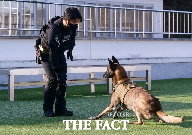 ¼¿ï°æÂûƯ°ø´ë ŽÁö°ß¿î¿ëÁ¦´ë ÀÌÀÇÁß °æ»ç°¡ Áö³ 8ÀÏ ¿ÀÀü ŽÁö°ß ·¡ºøÀ» ÈÆ·ÃÇϰí ÀÖ´Ù. /À̼±È ±âÀÚ