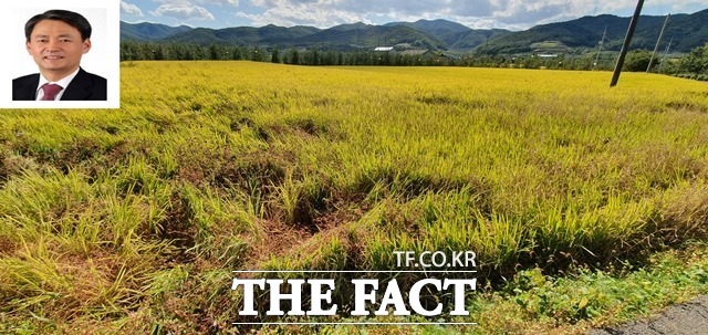 ȣ û ȳ  ġ ߴ. ״   Ȳ ִ.  û۱ ȴ鿡 9610 Ը  ϰ  ̿ ֹε  縦 ְ ִ.  ''(ڰ  ؾ ) Ģ  ʴ./û= 