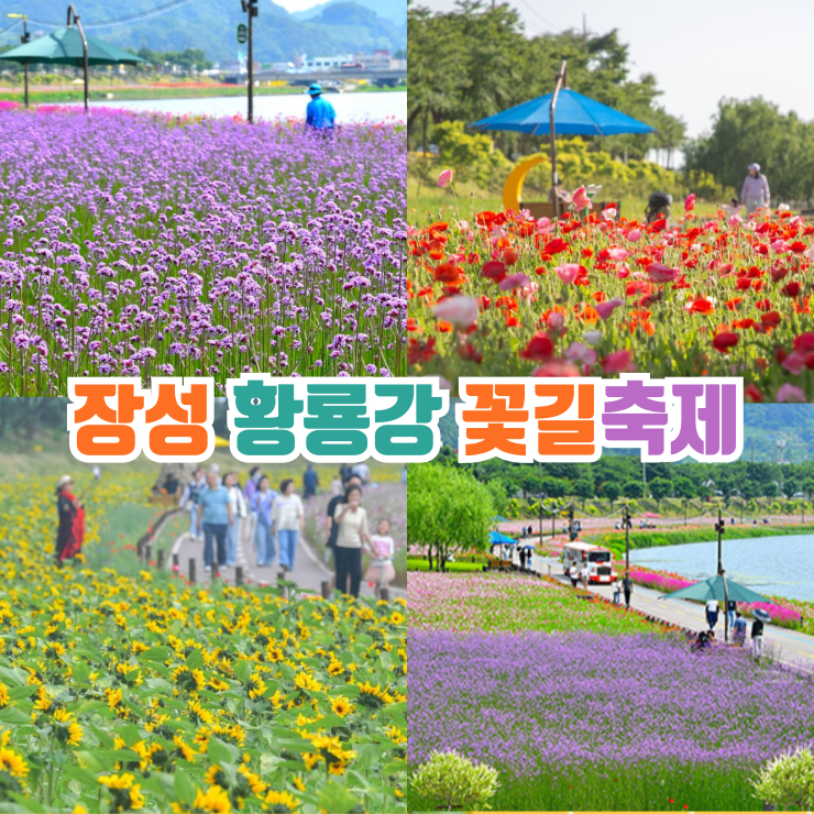 그꽃길 이미지