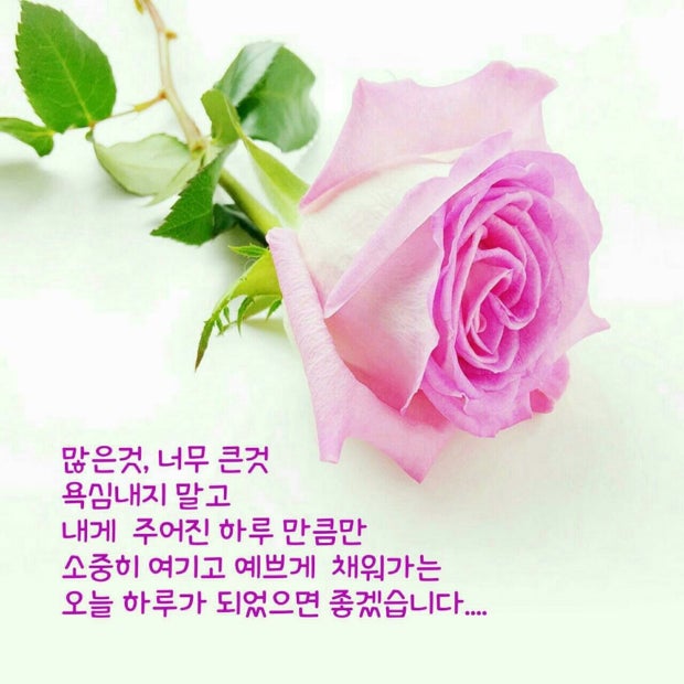 여행매니아21 이미지