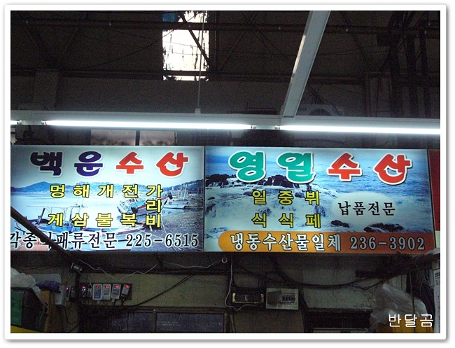 수원시 농수산물시장...영일수산...