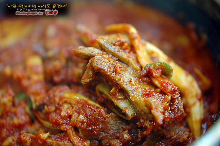 [부산맛집/사직동] 매운것이 땡길땐 매운 양재기 찜갈비