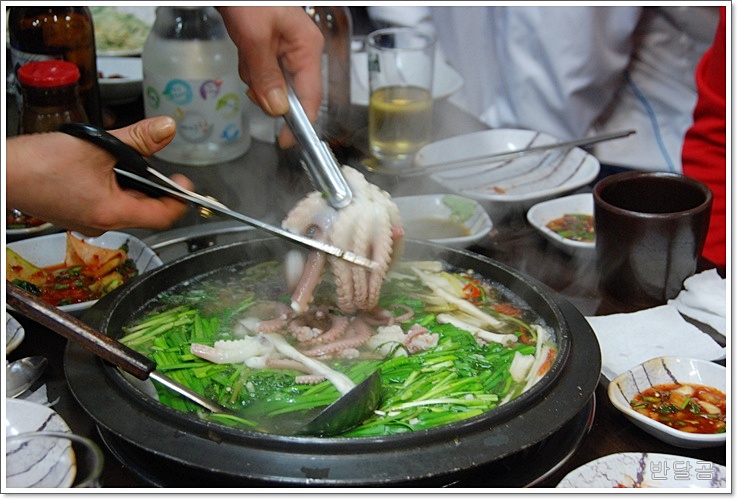 무안낙지 아구찜(광명시/광명동) ... 연포박속낙지와 낙곱전골 ...