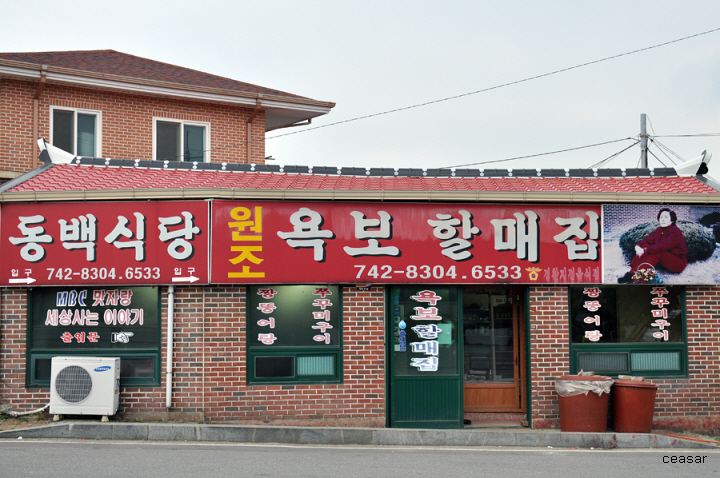 순천 별량면 사무소 앞 맛있는 쭈꾸미구이 욕보할매집  동백식당 