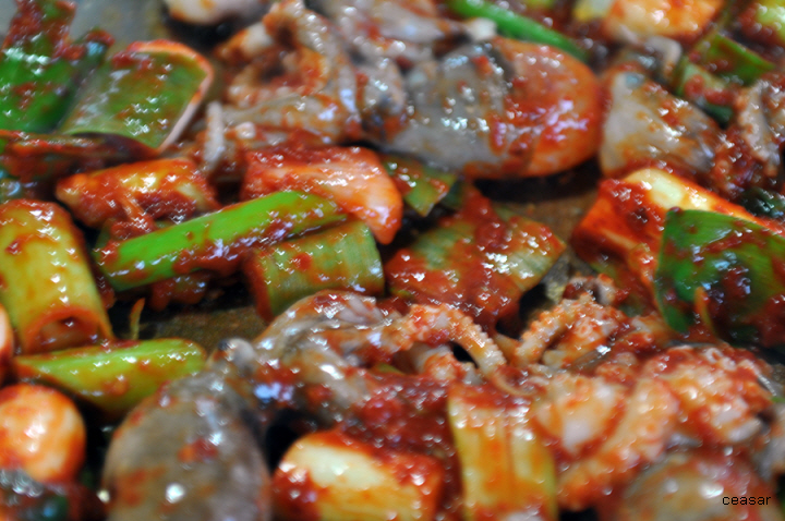 순천 별량면 사무소 앞 맛있는 쭈꾸미구이 욕보할매집  동백식당 