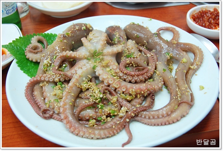 갯마을(서초동/교대역맛집) ... 홍어삼합과 낙지구이 ...